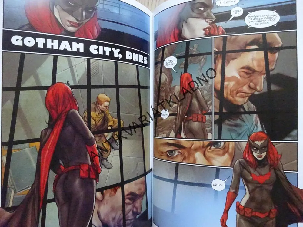 BATMAN, DETECTIVE COMICS, SYNDIKÁT OBĚTÍ, KOMIKS DC COMICS, **an
