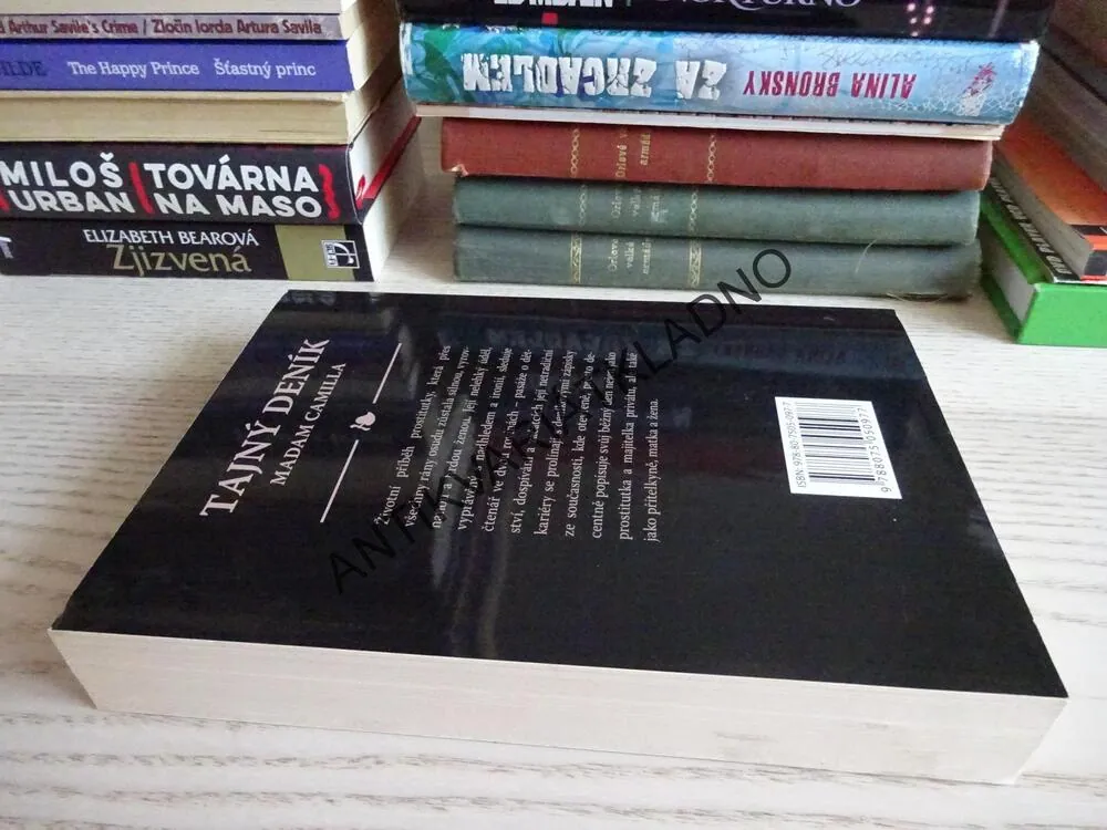 TAJNÝ DENÍK, OTEVŘENÁ ZPOVĚĎ LUXUSNÍ PROSTITUTKY, MADAM CAMILLA, **an