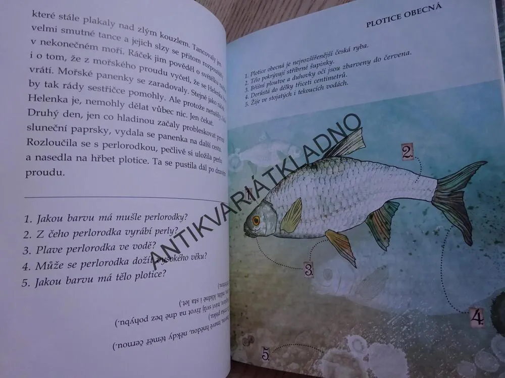 RYBÍ SLIBY, DANIELA KROLUPPEROVÁ, EVA CHUPÍKOVÁ, **an
