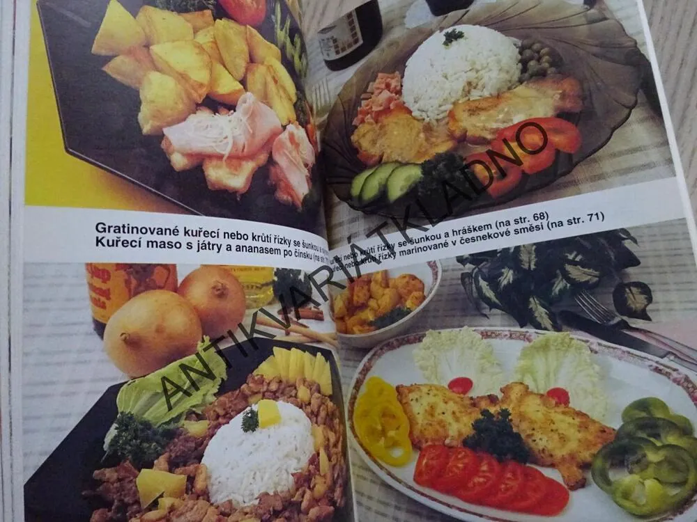 MINUTKY Z MASA, DRŮBEŽE, RYB A J., KUCHAŘINKA 2, **an