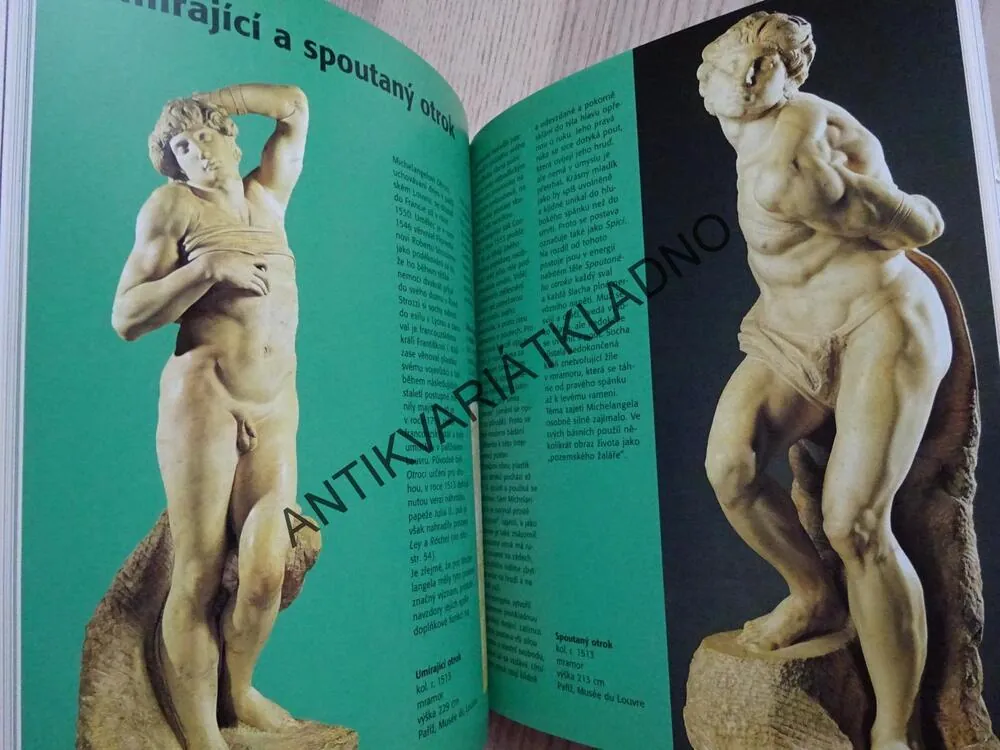 MICHELANGELO, MALÝ UMĚLECKÝ PRŮVODCE, **an