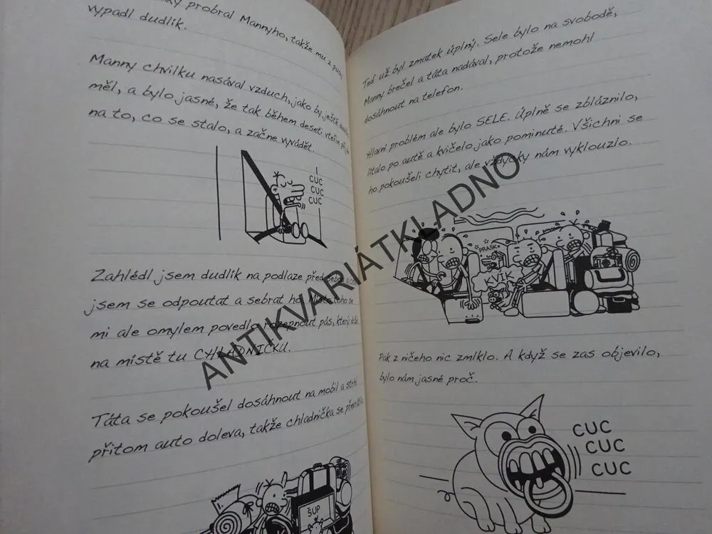 DENÍK MALÉHO POSEROUTKY, 9. VÝLET ZA VŠECHNY PRACHY, JEFF KINNEY, **an