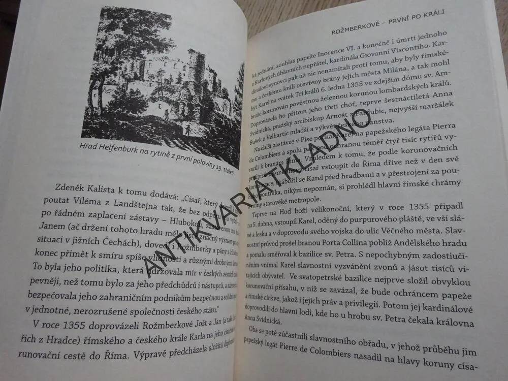 ROŽMBERKOVÉ - PRVNÍ PO KRÁLI, JAN BAUER, **an