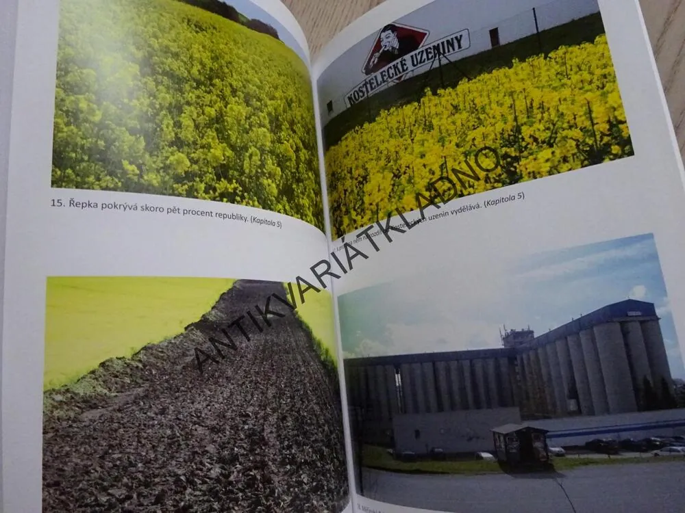 ŽLUTÝ BARON, ZUZANA VLASATÁ, JAKUB PATOČKA, **an