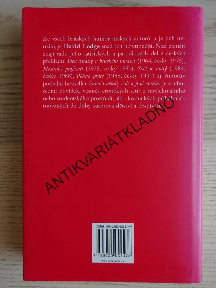 PRAVDA NĚKDY BOLÍ, DAVID LODGE, **an