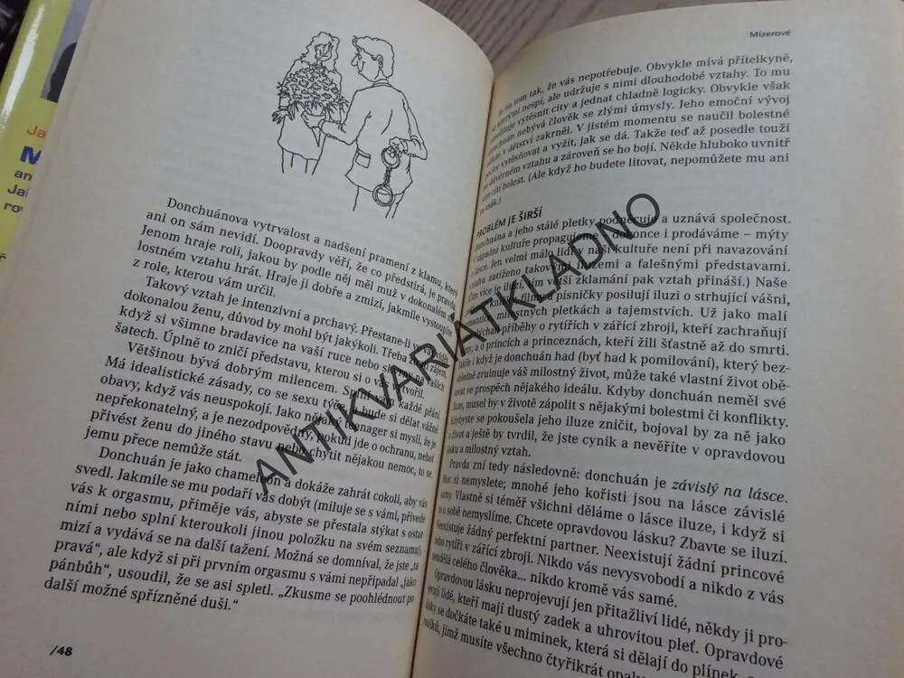 MIZEROVÉ, JAY CARTER, **an