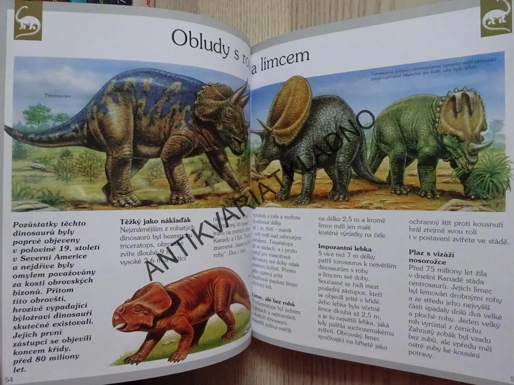 DINOSAUŘI A DALŠÍ VYHYNULÁ ZVÍŘATA, OBJEVUJEME SVĚT, **an