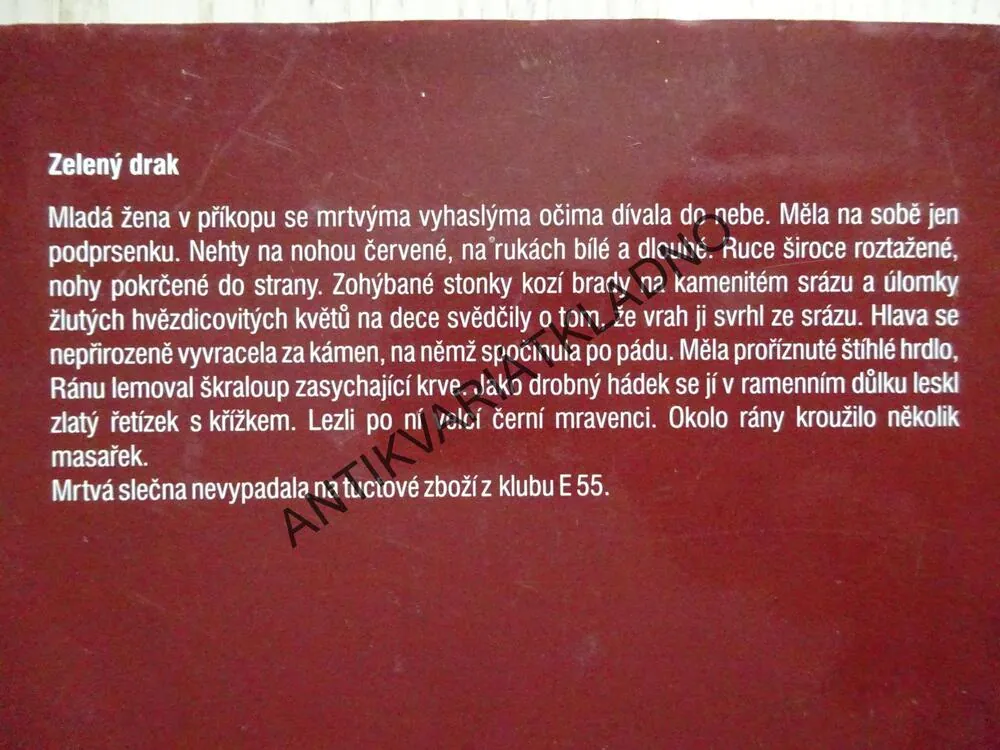 PŘÍPAD ZELENÝ DRAK, JIŘÍ HOGAN, **an