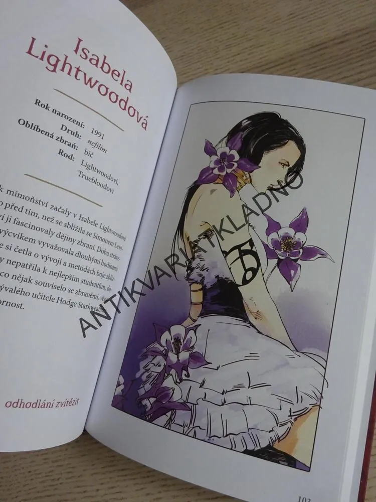 KDO JE KDO VE SVĚTĚ STÍNŮ, CASSANDRA CLAREOVÁ, **an