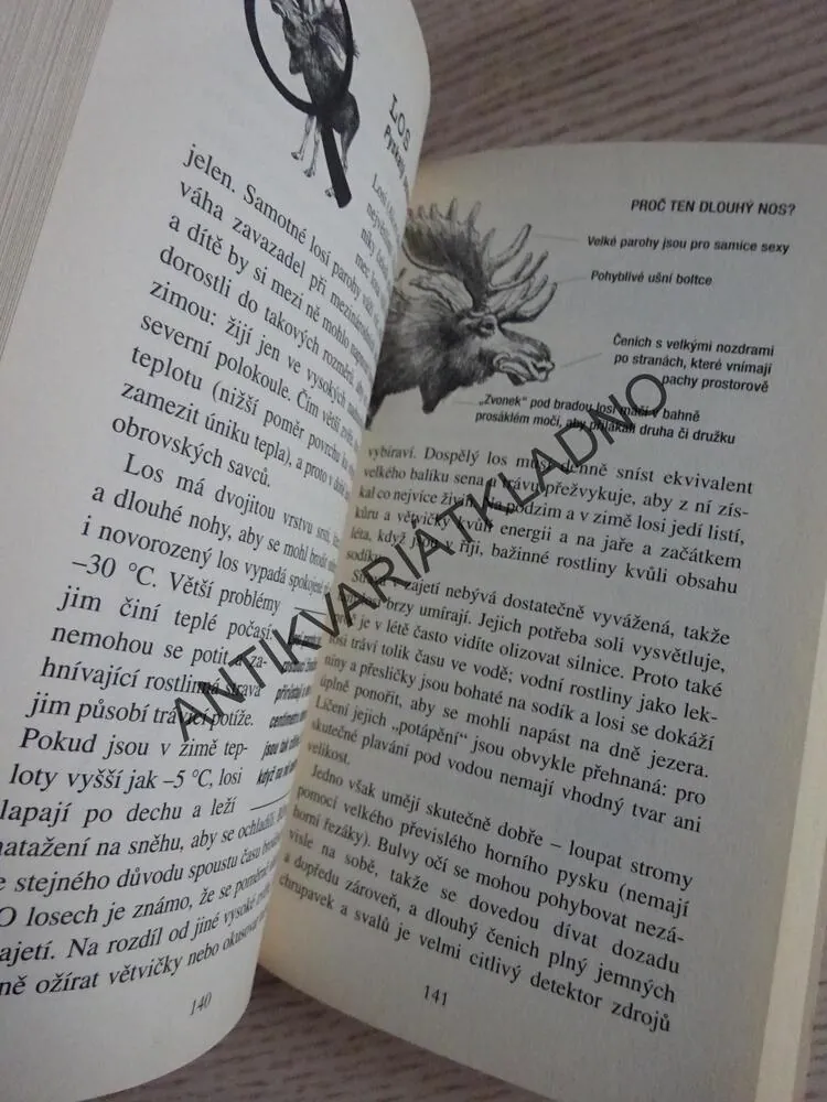 KNIHA VŠEOBECNÉ NEVĚDOMOSTI O ZVÍŘATECH, JOHN LLOYD, JOHN MITCHISON, **an