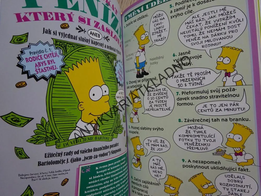 BART SIMPSON, PRŮVODCE ŽIVOTEM, SIMPSONOVI, **an