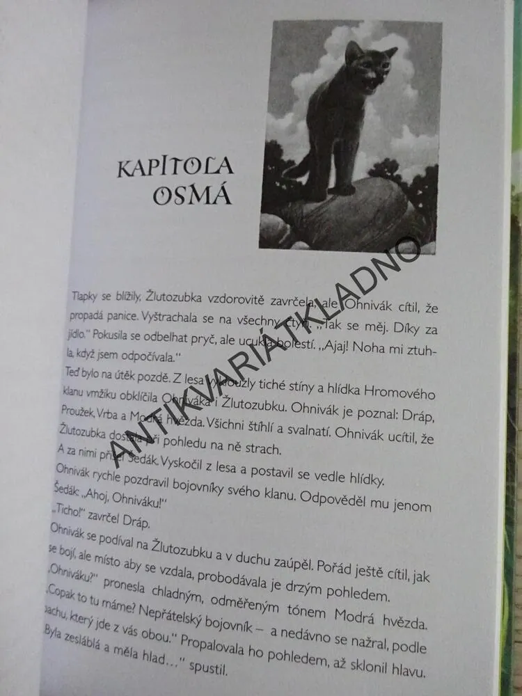 DIVOKÉ KOČKY, ERIN HUNTEROVÁ, **an