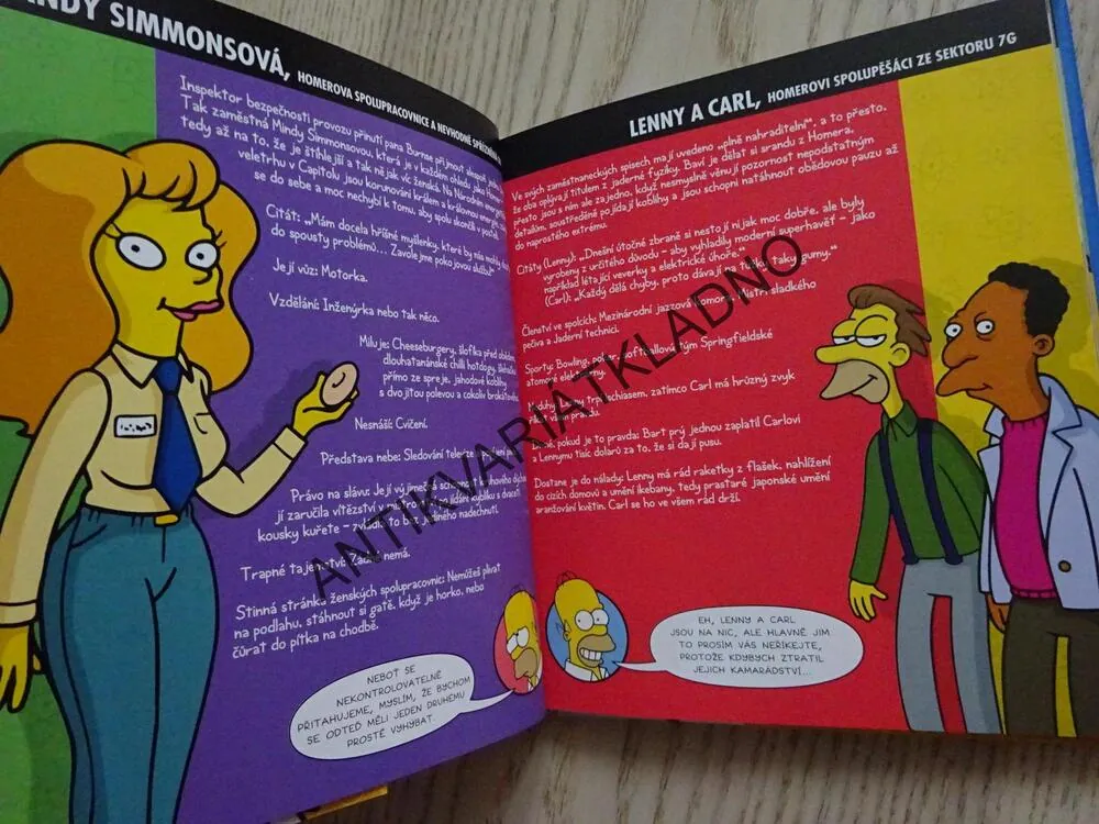 HOMEROVA KNIHA, SIMPSONOVA KNIHOVNA MOUDROSTI, SIMPSONOVI, **an