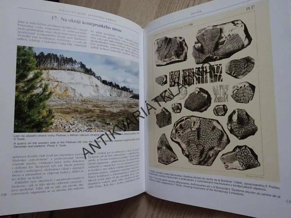 ZTRACENÁ MOŘE UPROSTŘED EVROPY, VOJTĚCH TUREK, RADVAN HORNÝ, RUDOLF PROKOP, **an