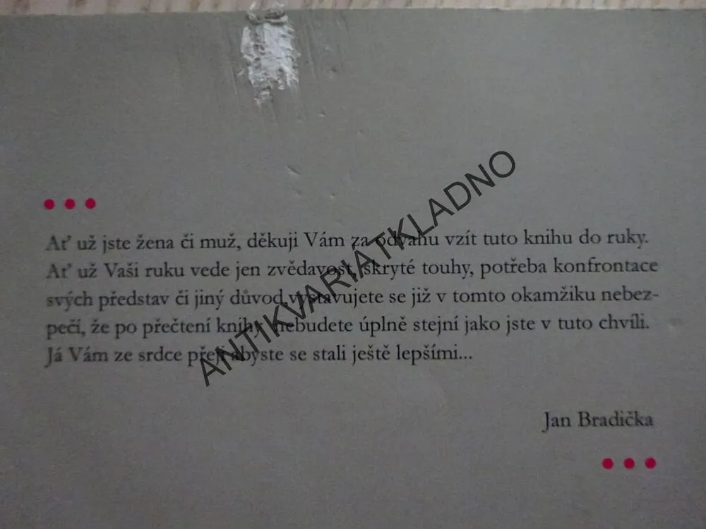 NESESMILNÍŠ, PŘÍBĚH PROSTITUTKY, JAN BRADIČKA, **an