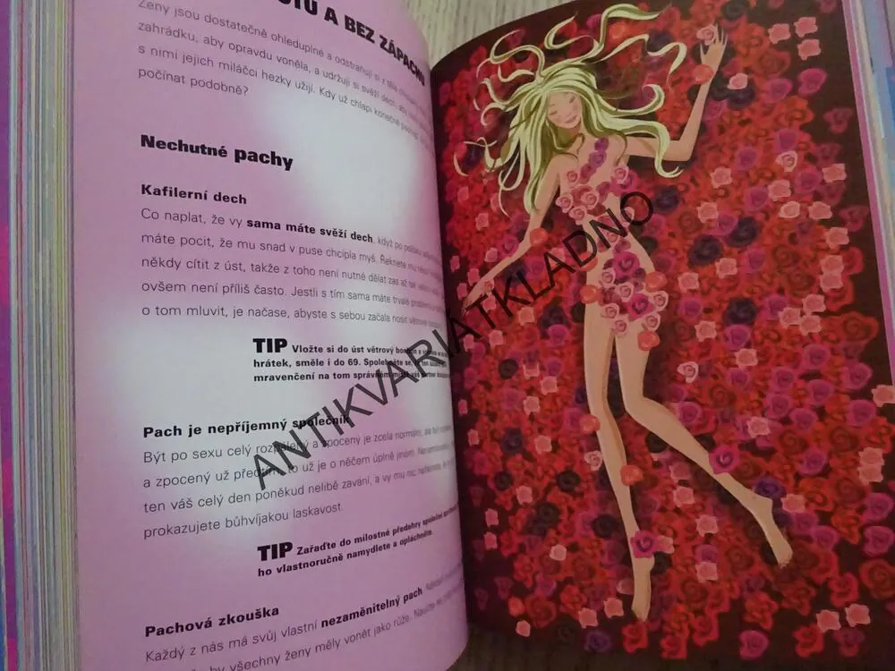 SEX NEJEN VE MĚSTĚ, LISA SUSSMANOVÁ, **an