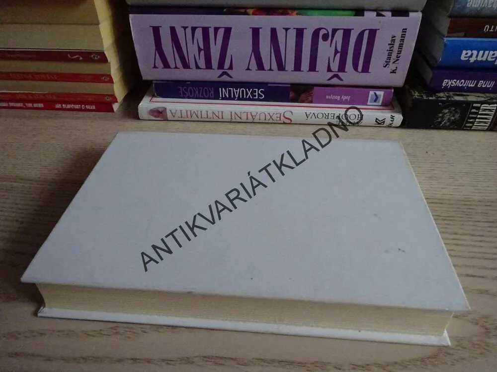 POPRVÉ A PAK POŘÁD ZNOVU, LISA MOOSOVÁ, **an