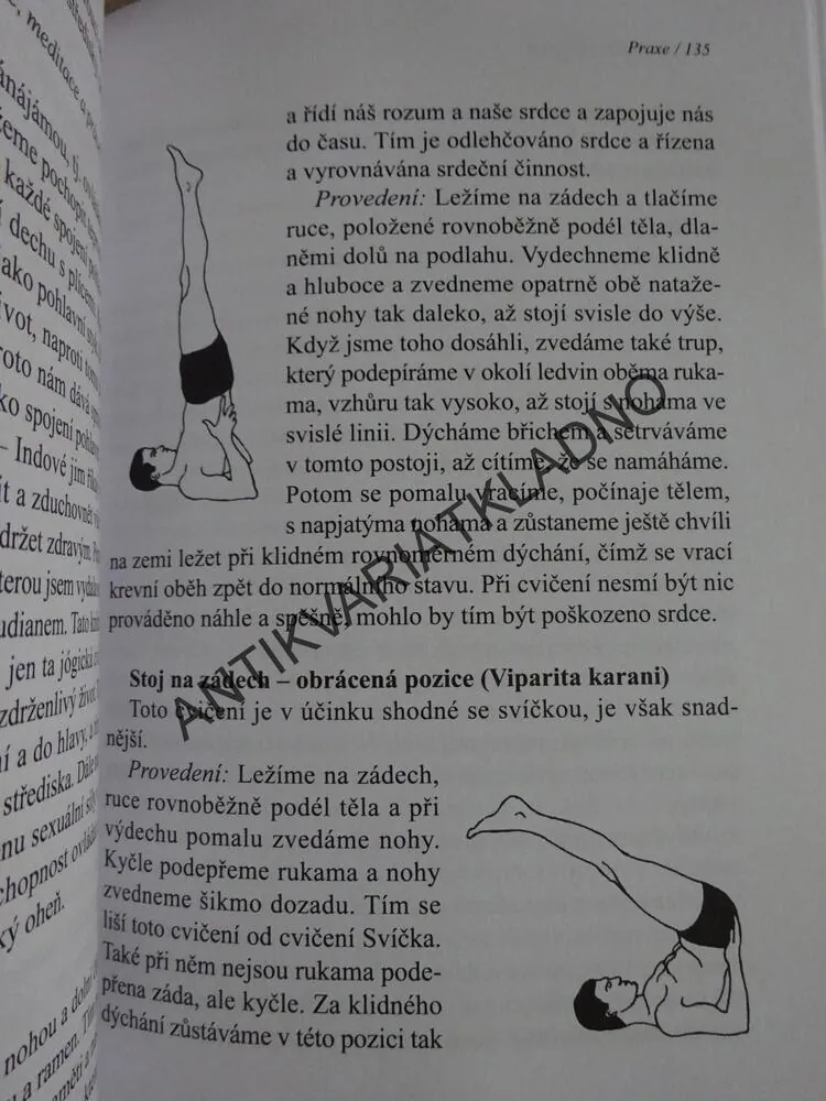 SEXUÁLNÍ SÍLA A JÓGA, ELISABETH HAICH, **an