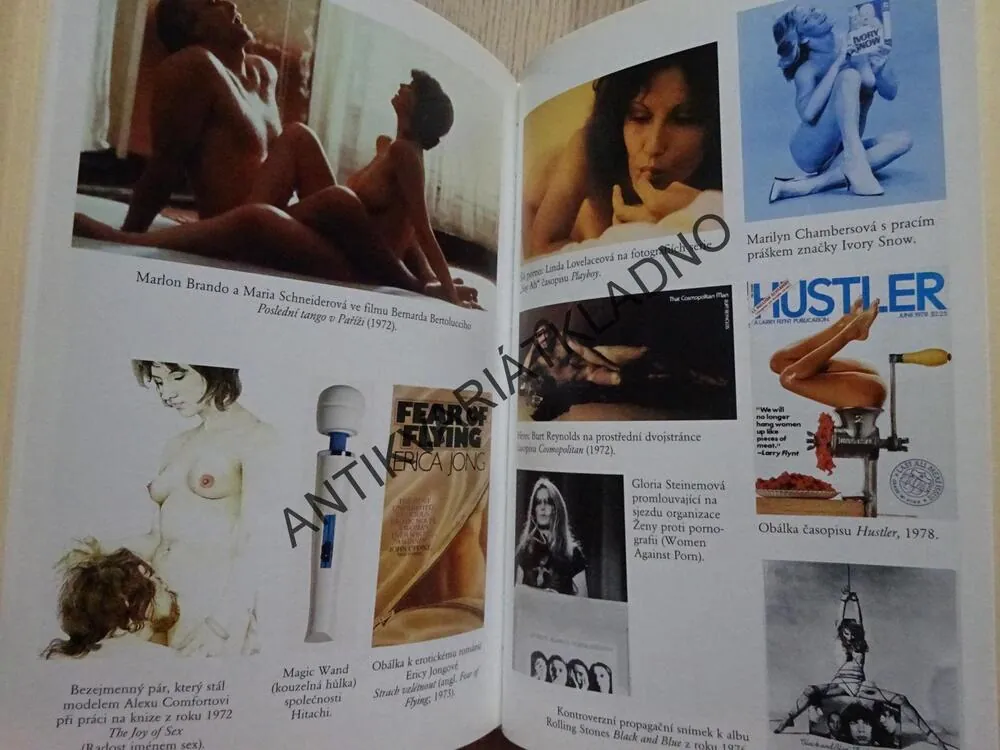 STOLETÍ SEXU, DĚJINY SEXUÁLNÍ REVOLUCE ČASOPISU PLAYBOY, PETERSEN, **an