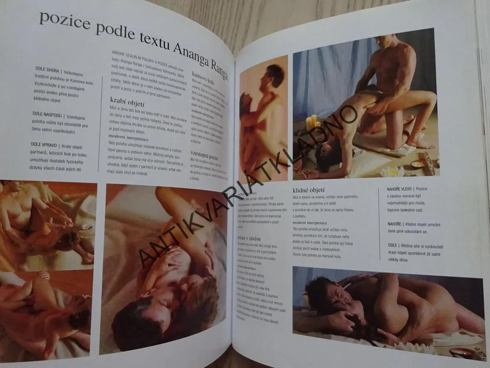 SEXUÁLNÍ ROZKOŠE, JUDY BASTYRA, **an