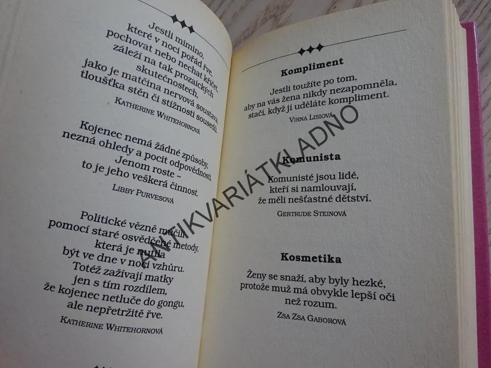 SLOVNÍK ZLOBIVÝCH HOLEK, **an