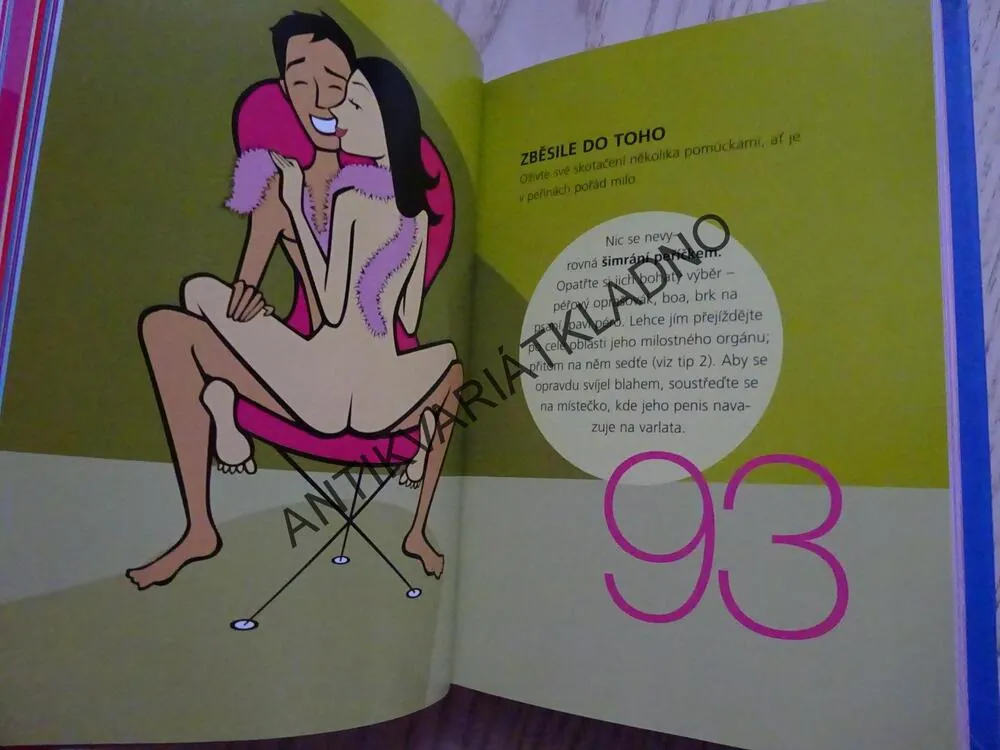 350 TIPŮ PRO NEJLEPŠÍ SEX, LISA SUSSMAN, **an