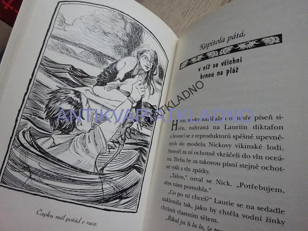 KRONIKA RODU SPIDERWICKŮ 3, VELIČENSTVO SAŇ, TONY DITERLIZZI, HOLLY BLACKOVÁ, **an