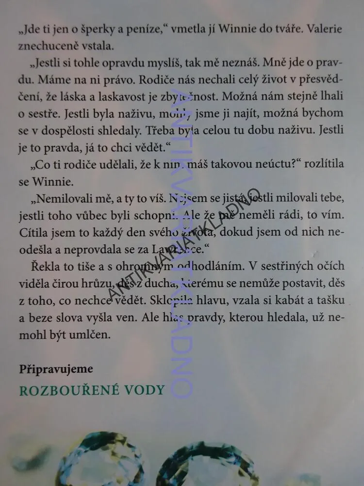 DRAŽBA, DANIELLE STEELOVÁ, **an