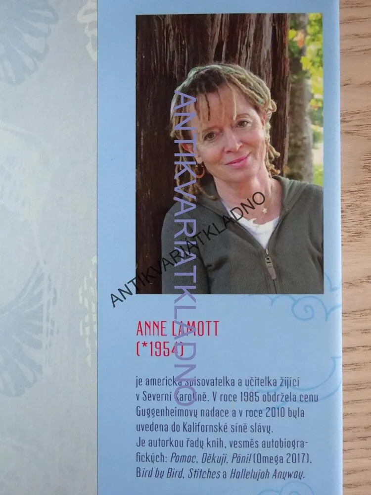 MALÁ VÍTĚZSTVÍ, ANNE LAMOTTOVÁ, **an