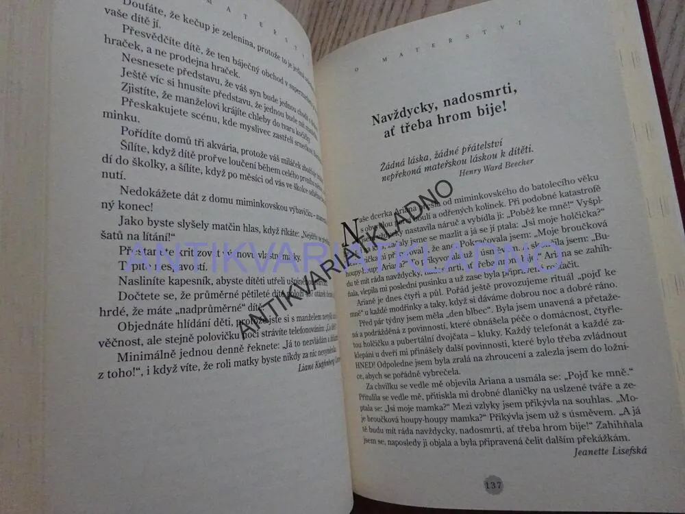 SLEPIČÍ POLÉVKA PRO MAMINKU, JACK CANFIELD, MARK VICTOR HANSEN, **an