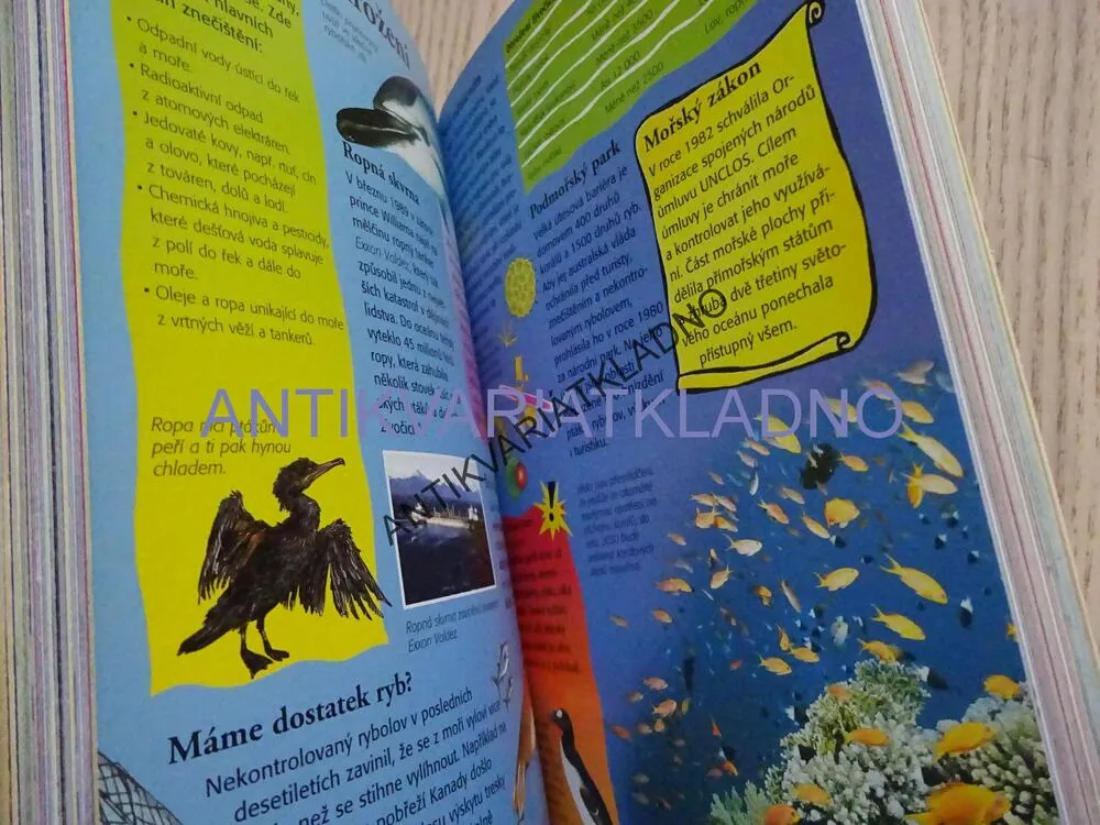 FAKTA A REKORDY, **an