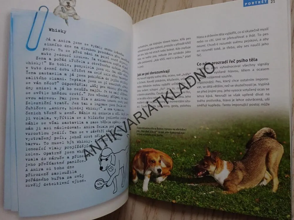 MŮJ PES A JÁ, WEGLEROVÁ, **an