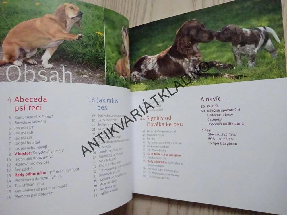 CO NÁM ŘÍKÁ PES?, KARHARINA SCHLEGL-KOFLER, **an