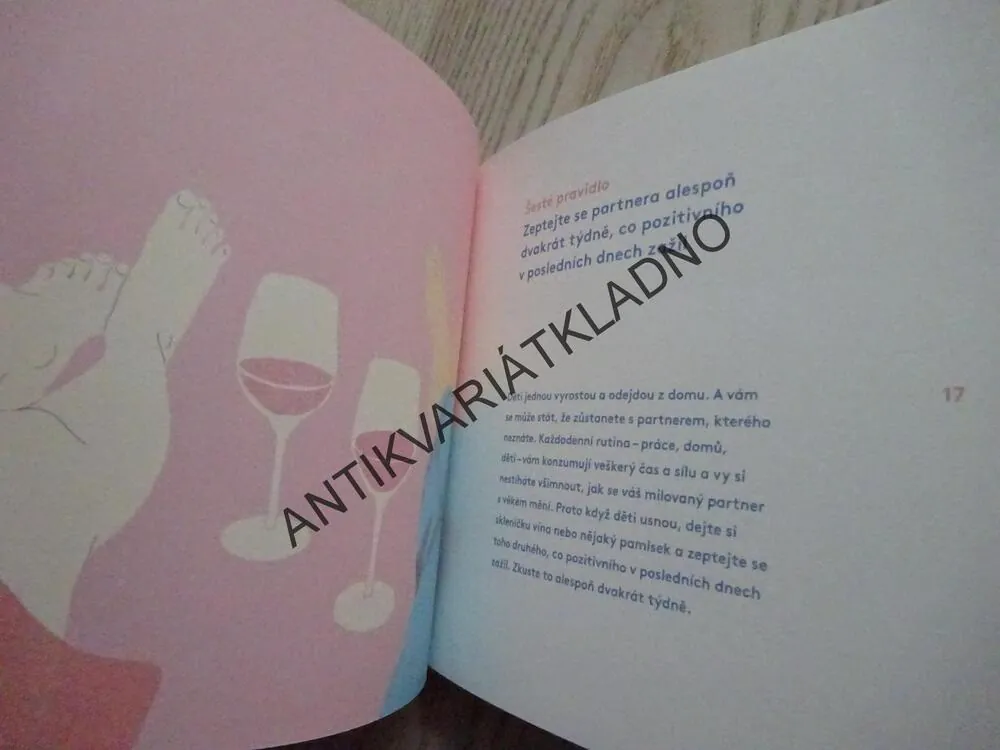 DESATERO SPOKOJENÉHO VZTAHU, DANICA ŠEBESTOVÁ, **an