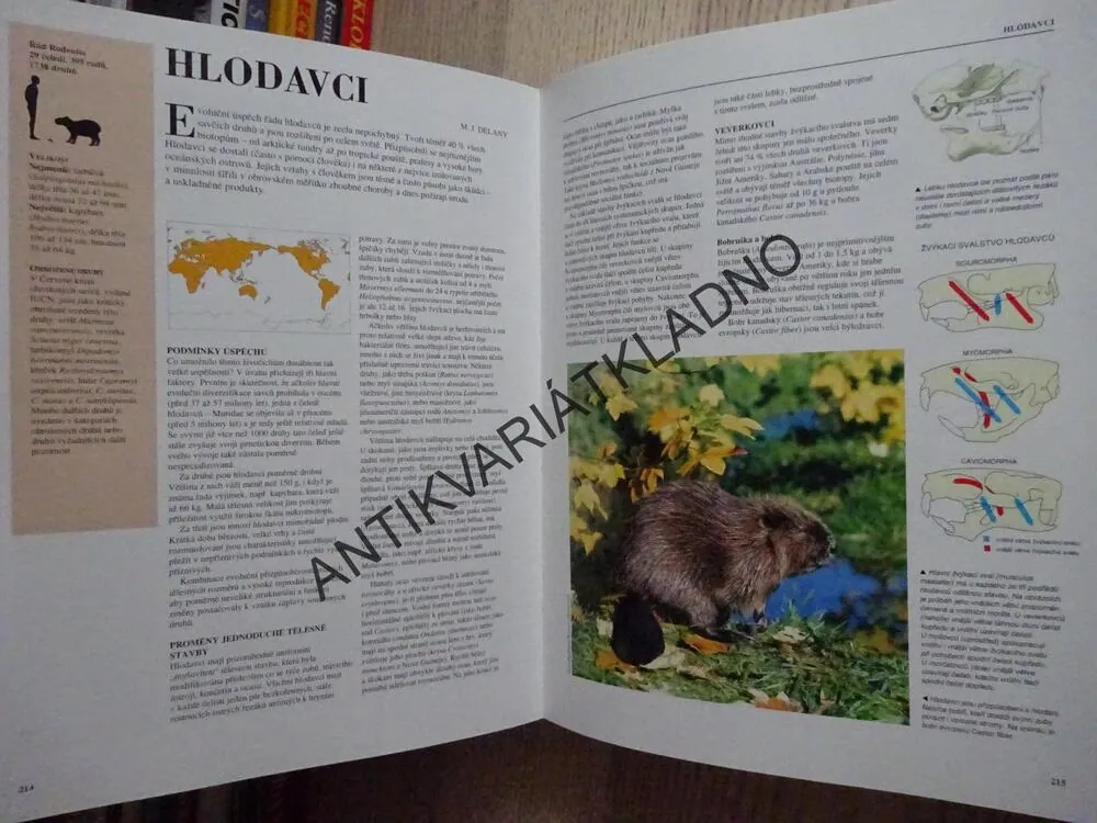 VELKÁ ENCYKLOPEDIE, ZVÍŘATA, **an