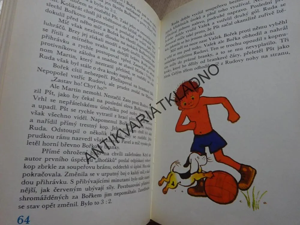 BOŘEK MÁ PSA, VLASTISLAV KŘIVOHLAVÝ, **an