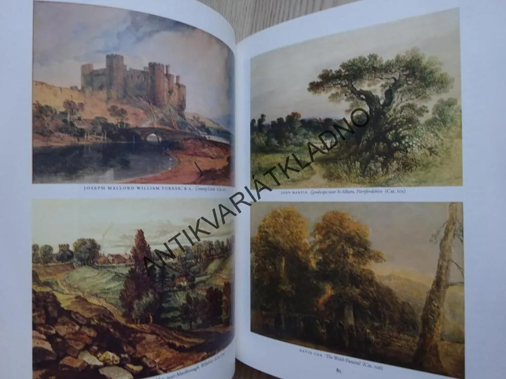 FROM VIEW TO VISION, UMĚNÍ, **an