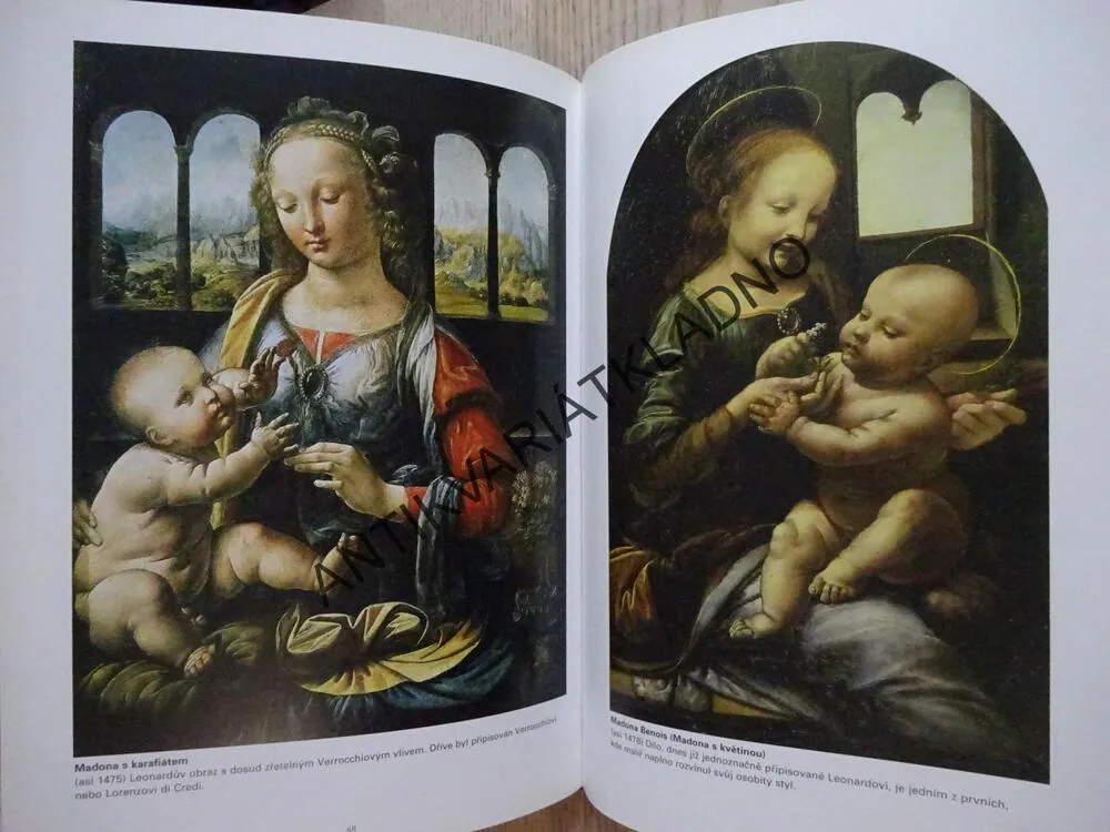 ŽIVOT A DÍLO MISTRA LEONARDA, ALFRED LUKASEY, **an