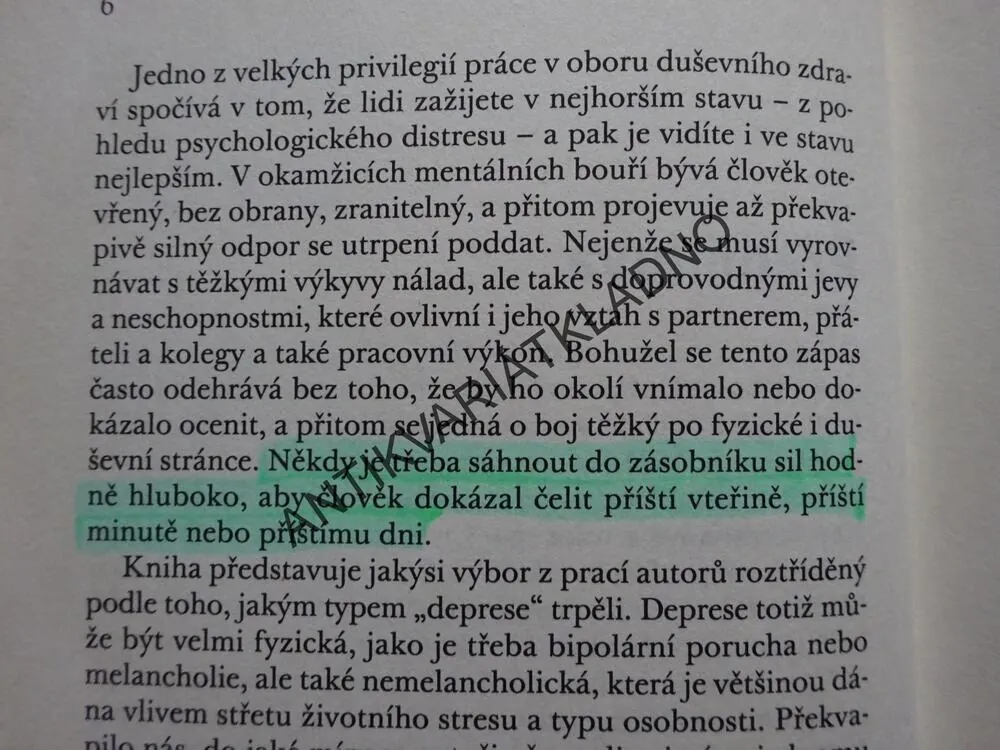 PUTOVÁNÍ S ČERNÝM PSEM, WIGNEYOVÁ, EYERSOVÁ, PARKER, **an