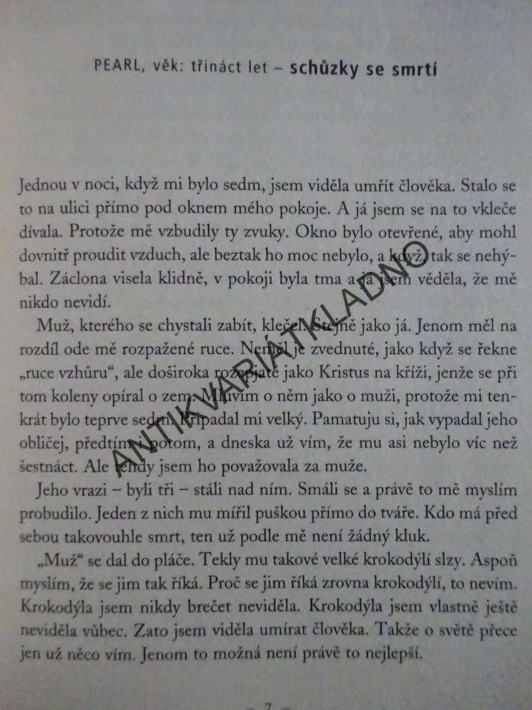 LÁSKA V ČASE PŘÍTOMNÉM, CATHERINE RYAN HYDEOVÁ, **an