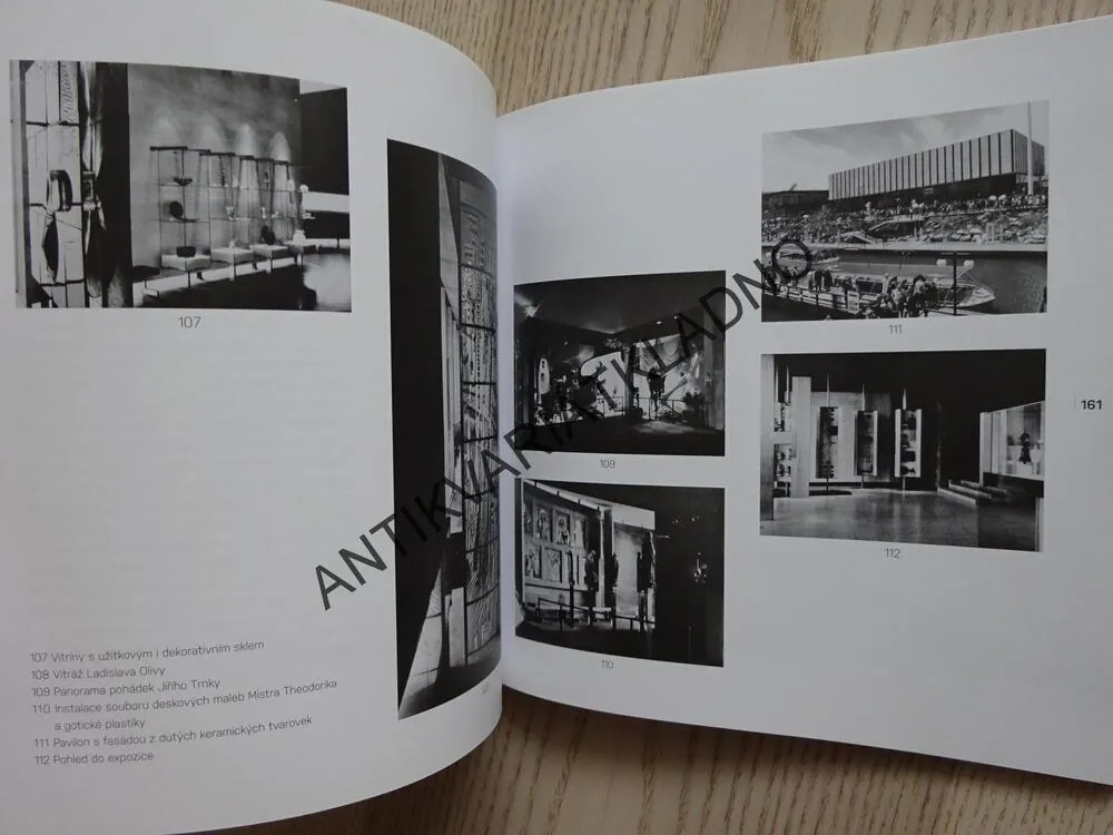 FRANTIŠEK CUBR, ARCHITEKT STYLU, PETR VOLF, **an