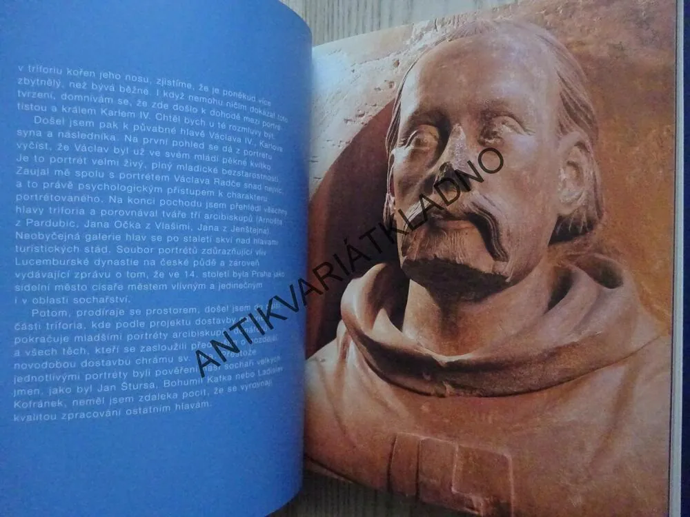 PAMĚT SOCHAŘSKÉHO PORTRÉTU, VLADIMÍR PRECLÍK, **an