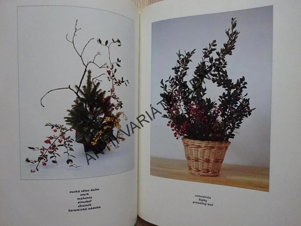 IKEBANA, DAGMAR KOŽUŠNÍKOVÁ, **an