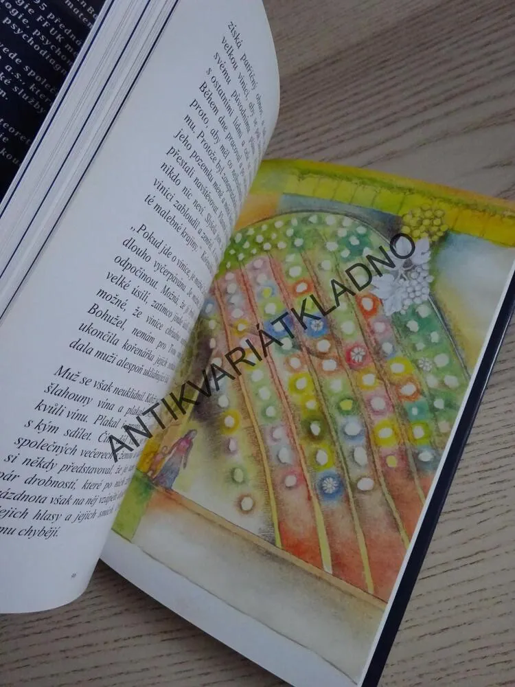 POHÁDKA O ZTRACENÉ KRAJINĚ, PSYCHOLOGIE SEBEKOUČOVÁNÍ, RADVAN BAHBOUH, **an