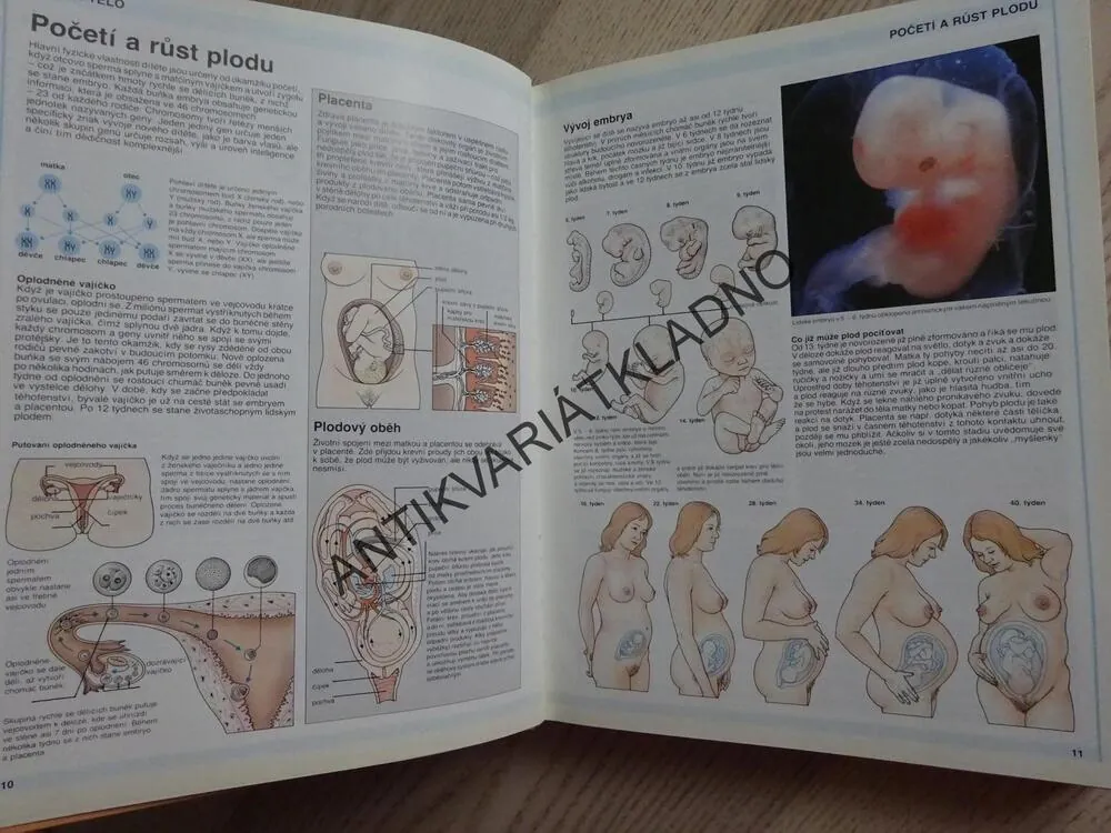RODINNÝ LÉKAŘ, DOMÁCÍ RÁDCE, BRITSKÁ LÉKAŘSKÁ SPOLEČNOST, , **an