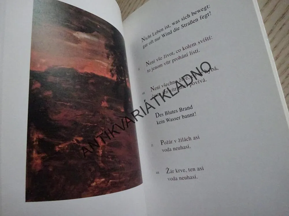 AFORISMY, RANIER KREISSL, **an