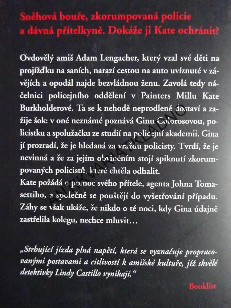 ZPŘETRHANÁ POUTA, LINDA CASTILLO, **an