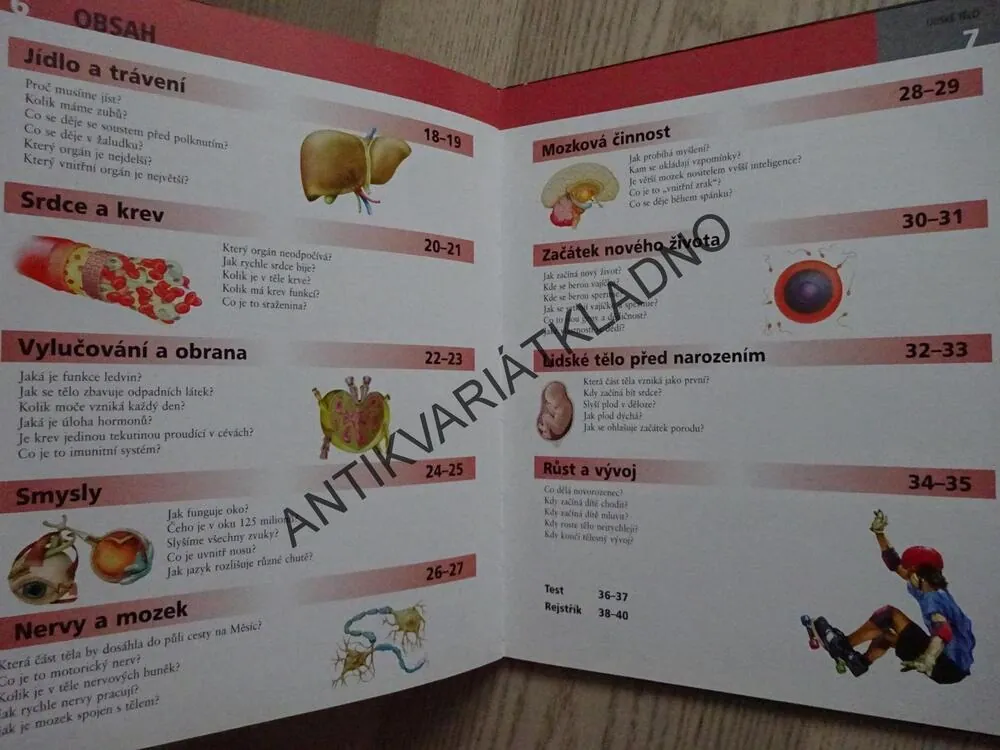 LIDSKÉ TĚLO, OTÁZKY A ODPOVĚDI, **an