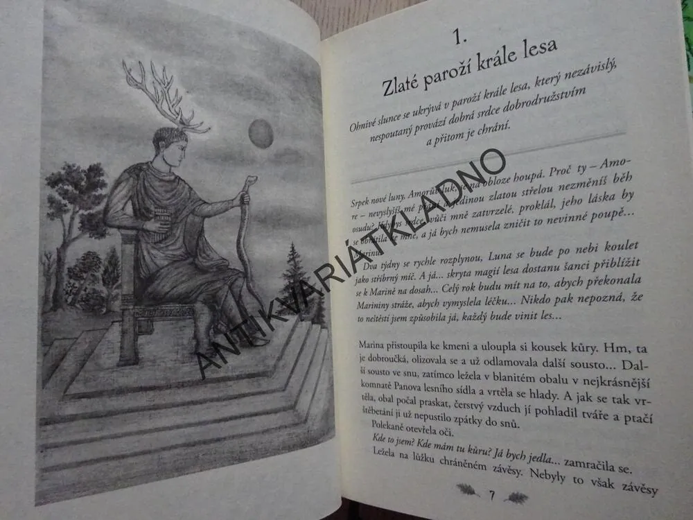 RAFAELOVA ŠKOLA, ROHY FAUNŮ, RENATA ŠTULCOVÁ, **an