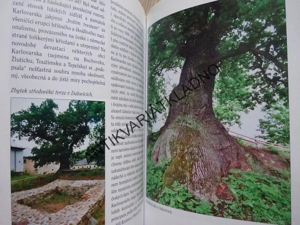 ZÁHADY A MYSTÉRIA KARLOVARSKA, STANISLAV BURACHOVIČ, **an